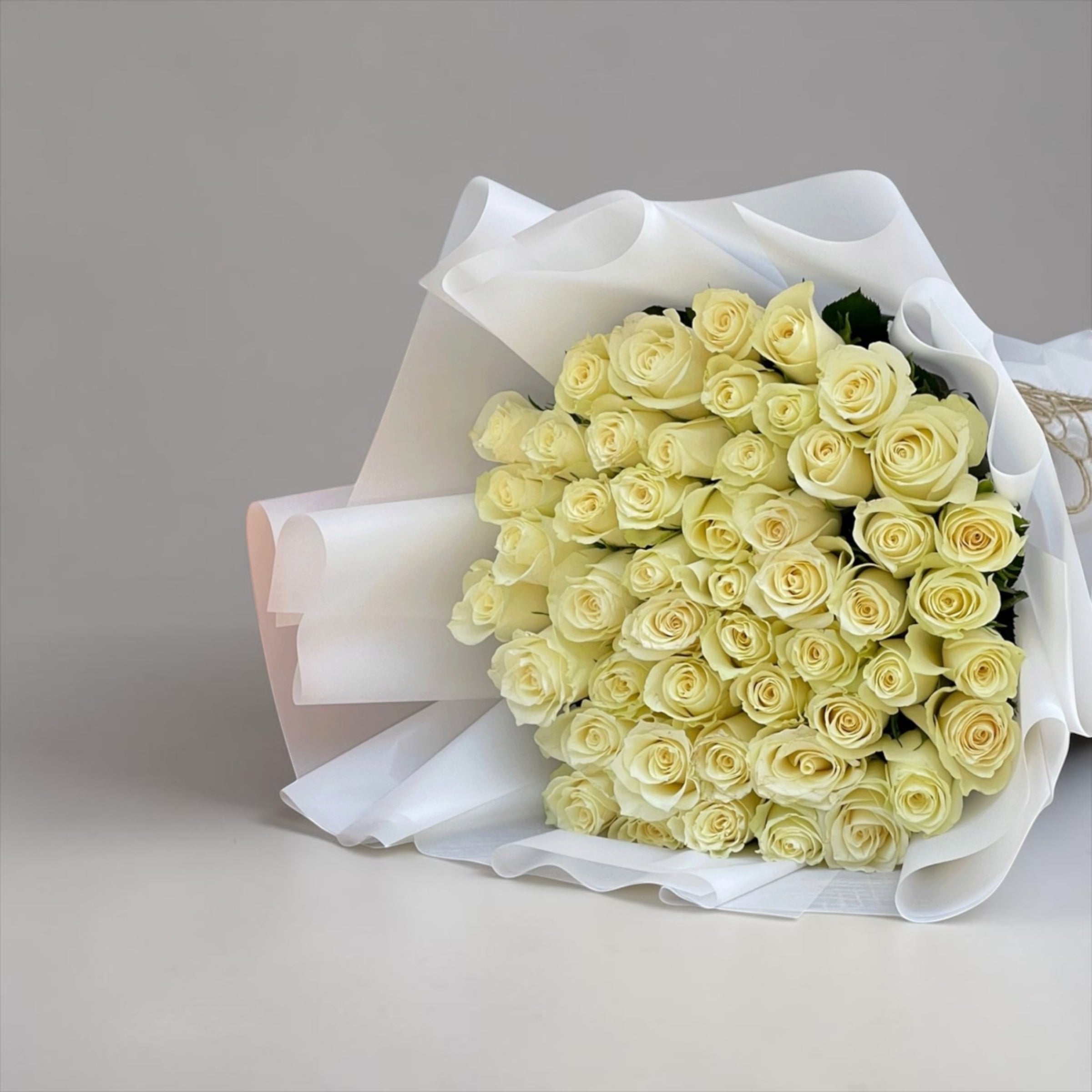 50 white roses