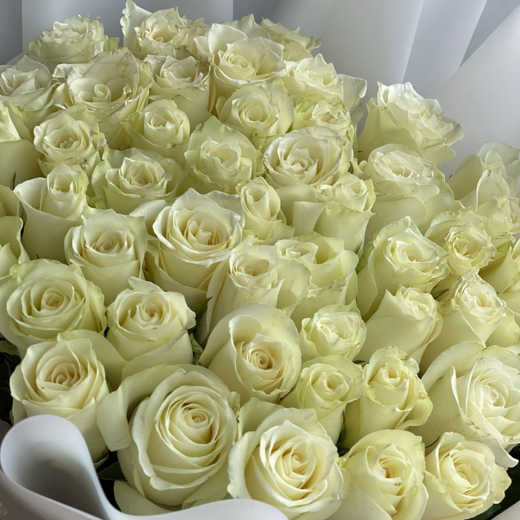 50 white roses