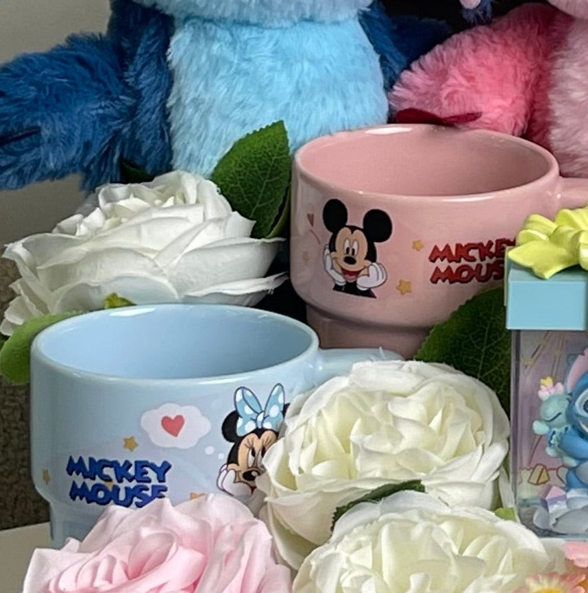 Disney paradise