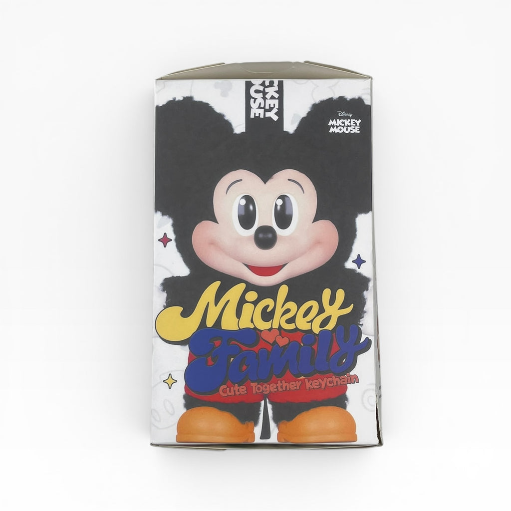 Mickey surprise box